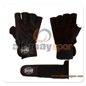 DRAGON HEAVY TRAINNG