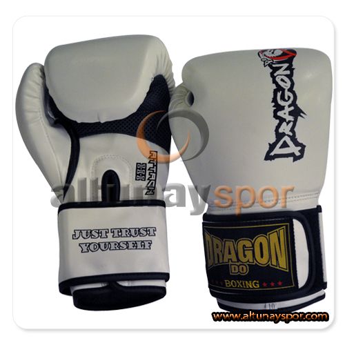 Boxing Gloves White Dragon Attack