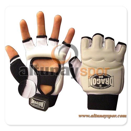 TAEKWONDO DRAGON GLOVES